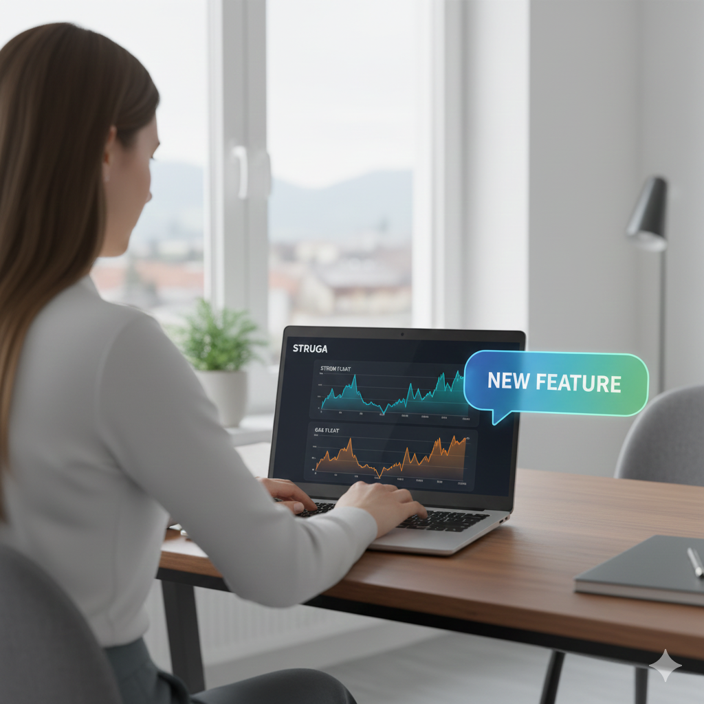 Neues Feature auf Struga.at: Live Börsenpreise für Energie